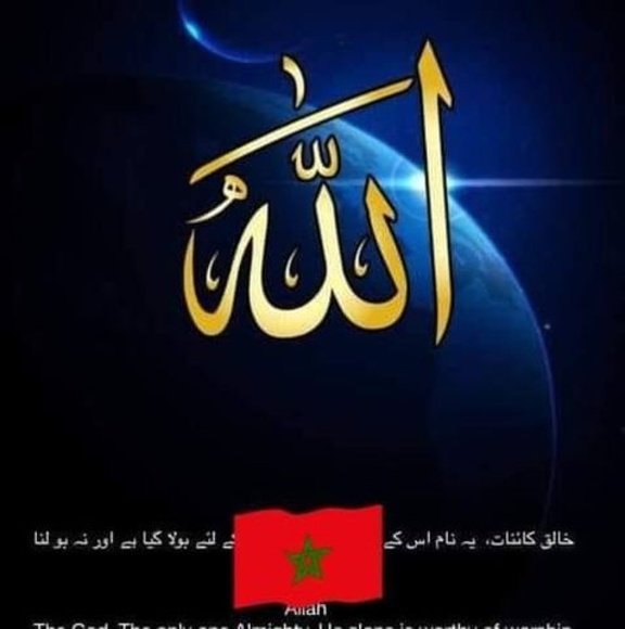 Meet your Posher, Michael - Picture 1 of 1